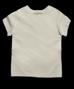 Sweet Lahaina - Coconut Dyed Short Sleeve Scoop Neck T-Shirt
